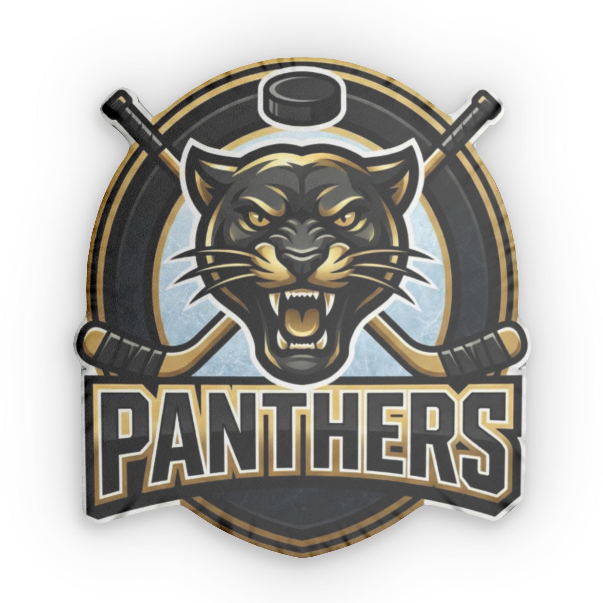 Panthers Pillow