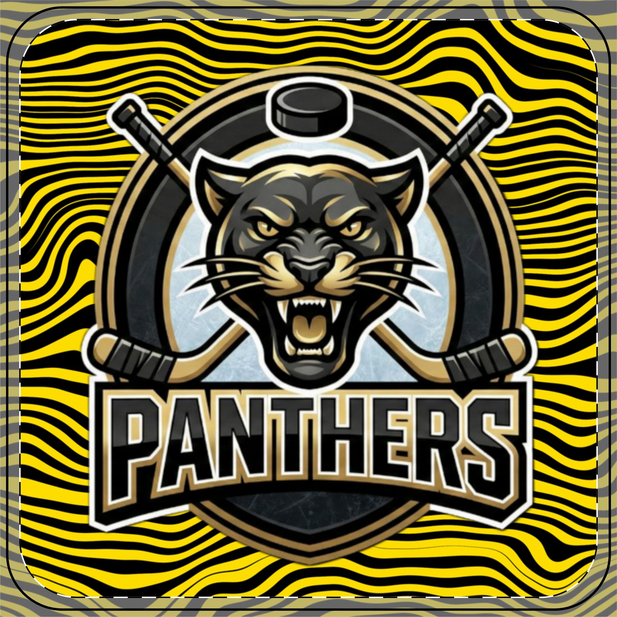 Panthers Coaster