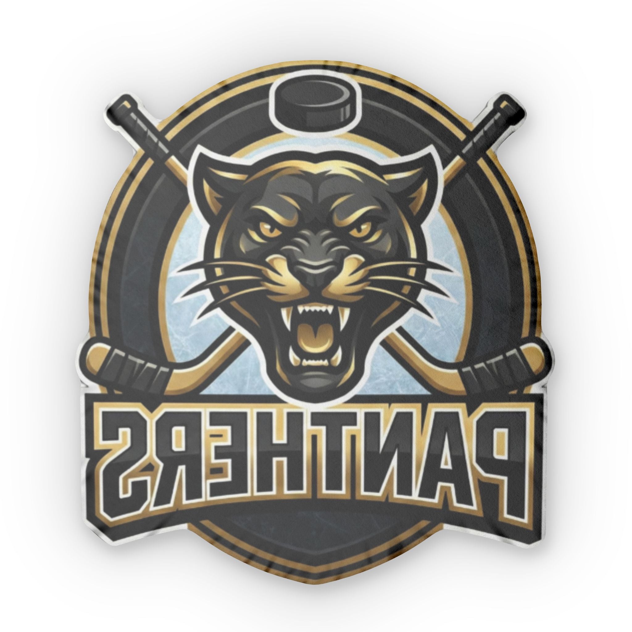 Panthers Pillow